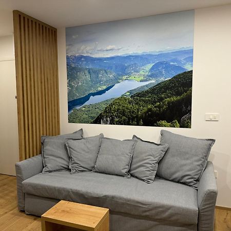 Apartma Tisa Бохин Екстериор снимка