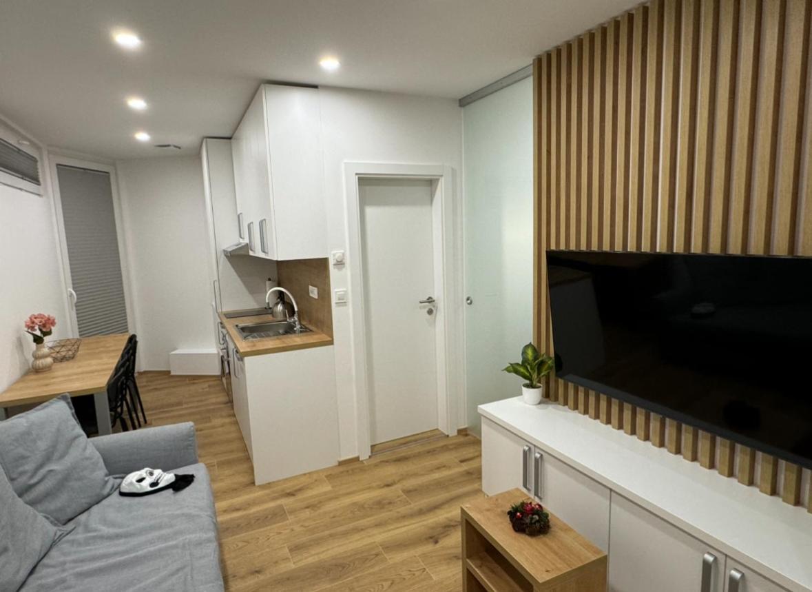 Apartma Tisa Бохин Екстериор снимка